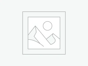 プレースホルダー